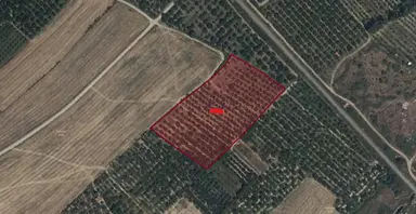 A-k Emlaktan Atakentte Toplam 4069 M2 Satılık Eriklik Tarla A-k Emlaktan Atakentte Toplam 4069 M2 Satılık Eriklik Tarla