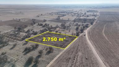 Konya / Kadınhanı / Başkuyu Fatih Mahallesinde 2.750 M² Müstakil Tapulu Tarla Konya / Kadınhanı / Başkuyu Fatih Mahallesinde 2.750 M² Müstakil Tapulu Tarla