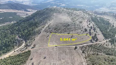 Konya / Ilgın / Gökçeyurt-özlem Mahallesinde 5.641 M² Müstakil Tapulu Tarla Konya / Ilgın / Gökçeyurt-özlem Mahallesinde 5.641 M² Müstakil Tapulu Tarla