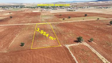 Konya / Akören / Karahüyük Mahallesinde 3.954 M² Müstakil Tapulu Tarla