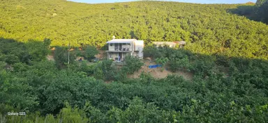 Sakarya Hendek Dereköy Satılık Fındık Bahçesi Sakarya Hendek Dereköy Satılık Fındık Bahçesi