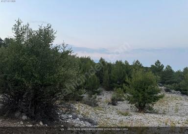 Antalya/kaş ,kemer Mahallesinde Satılık Yan Yana 2 Arsa