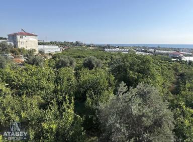 Atabey'den Kocahasanlı'da 2310m² Köşe Parsel Arsa (2050+260) Atabey'den Kocahasanlı'da 2310m² Köşe Parsel Arsa (2050+260)