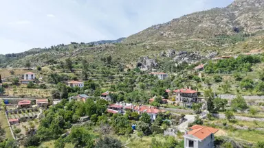 Datça Mesudiyede Panoramik Deniz Manzaralı 7.609m² Zeytinlik