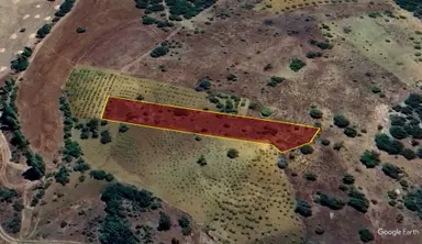 Konya / Bozkır / Kızılçakır Mahallesinde 2.025 M² Müstakil Tapulu Tarla