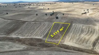 Konya / Beyşehir / Yenidoğan Mahallesinde 3.111 M² Müstakil Tapulu Arazi