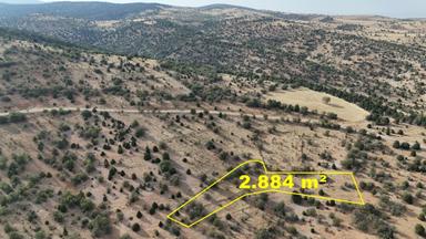 Konya / Akören / Belkuyu Mahallesinde 2.884 M² Müstakil Tapulu Bağ