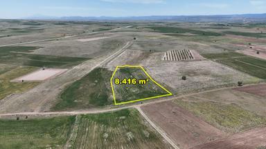 Konya / Akören / Tülce Mahallesinde 8.416 M² Müstakil Tapulu Tarla
