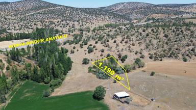 Konya / Güneysınır / Örenboyalı Mahallesinde 1.190 M² Müstakil Tapulu Kavaklık
