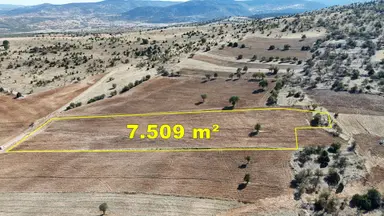 Konya / Akören / Alan Mahallesinde 7.509 M² Müstakil Tapulu Tarla