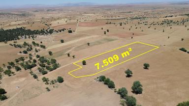 Konya / Akören / Alan Mahallesinde 7.509 M² Müstakil Tapulu Tarla