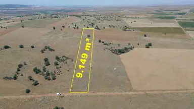 Konya / Akören / Karahüyük Mahallesinde 9.149 M² Müstakil Tapulu Tarla