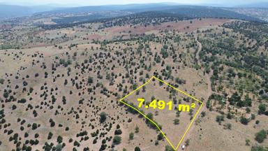 Konya / Akören / Alan Mahallesinde 7.491 M² Müstakil Tapulu Tarla