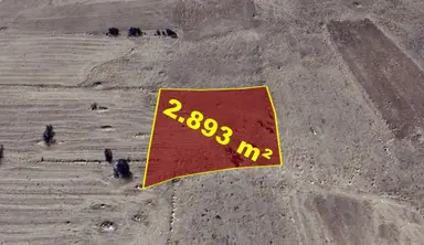 Konya / Akören / Tülce Mahallesinde 2.893 M² Müstakil Tapulu Tarla