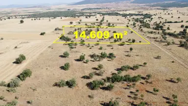 Konya / Akören / Ağalar Mahallesinde 14.609 M² Müstakil Tapulu Tarla
