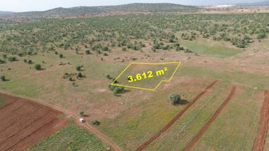 Konya / Akören / Hacılar Mahallesinde 3.612 M² Müstakil Tapulu Tarla
