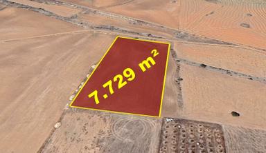 Karaman / Kazımkarabekir / Pazar Mahallesinde 7.729 M² Müstakil Tapulu Tarla Karaman / Kazımkarabekir / Pazar Mahallesinde 7.729 M² Müstakil Tapulu Tarla