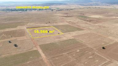 Konya / Akören / Orhaniye Mahallesinde 16.566 M² Müstakil Tapulu Tarla