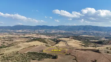 Amasya / Hamamözü / Sarayözü Nde 4.242 M² Müstakil Tarla Amasya / Hamamözü / Sarayözü Nde 4.242 M² Müstakil Tarla