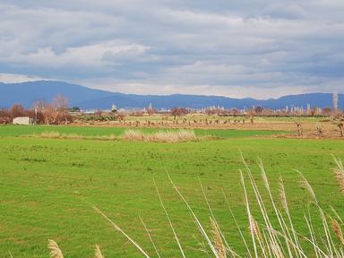 Artı Emlak'tan Burhaniye Börezli'de Satılık 11.000 M2 Tarla