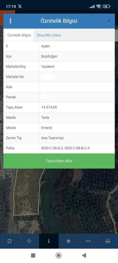 Bozdoğan Yazıkent'te 15 Dönüm Zeytinlik