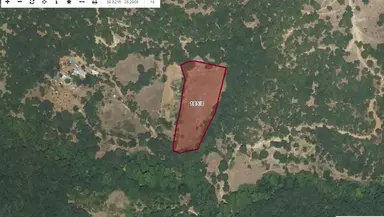 Balıkesir Kepsut Serçeörende 4119 M2 Satılık Tarla Balıkesir Kepsut Serçeörende 4119 M2 Satılık Tarla