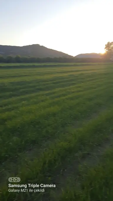 Ortaca Fevziye 7100 M2 Tarla