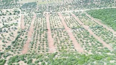 Yeşiltepe Zümrüttepeye Komşu Satılık Hobi Bahçeleri