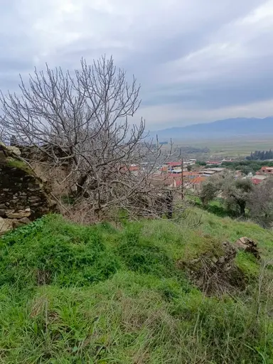 Aydın Yenipazar Hamzabali Köyünde Satılıık Arsa