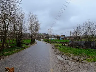 Salmanlıda Asfalt Cepe 470 M2 Satılık Arsa %40 2 Kat Salmanlıda Asfalt Cepe 470 M2 Satılık Arsa %40 2 Kat