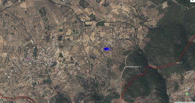 Muğla Milas Söğütçük Te 1.300 M2 Zeytinlik Yola Sıfır İçinde 1 Adet Konteynir Mevcut