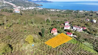 Persembe Efirli Mah.acil Satılık Müstakil Parsel Persembe Efirli Mah.acil Satılık Müstakil Parsel
