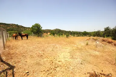 🔴 Aktif'ten Kuyumcu Köyünde Tel İle Çevrili Satılık 3.100 M2 Tarla🔴