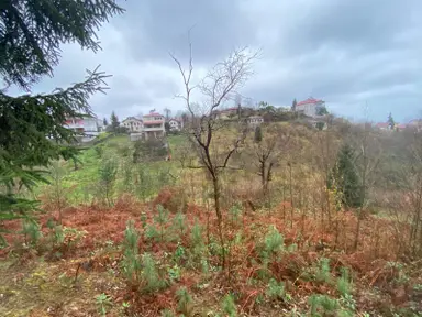 Trabzon Beşikdüzünde Satılık Deniz Manzaralı Villalık Arazi Trabzon Beşikdüzünde Satılık Deniz Manzaralı Villalık Arazi