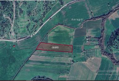 Milas Meşelik'te Köy Merkezıne Yakın 10.475 M2 Satılık Tarla