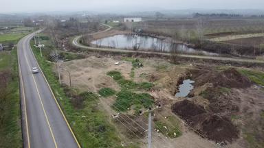 Sakarya Söğütlüde Kadastral Yola Cephelı Satılık Tarla