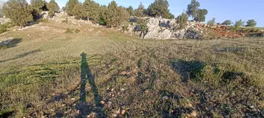 Muğla Seydikemer Yayla Karaçulha Müstakil Tapulu 970 M2 Arazi Muğla Seydikemer Yayla Karaçulha Müstakil Tapulu 970 M2 Arazi