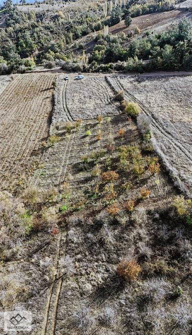 Turgutlu Dağyeniköy Mahallesinde 1907 M2 Tek Tapu Satılık Tarla