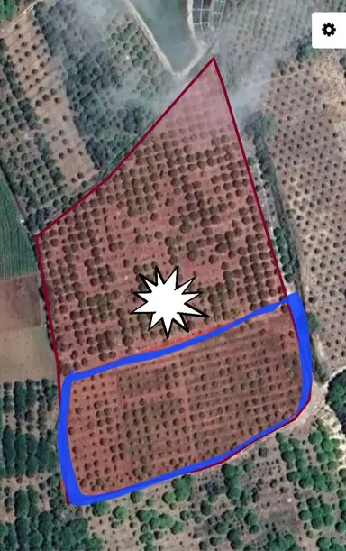 Mersin Erdemli Elvanlı Mahallesinde 6800 Metrekare Hisseli Satılık Limon Bahçesi Mersin Erdemli Elvanlı Mahallesinde 6800 Metrekare Hisseli Satılık Limon Bahçesi