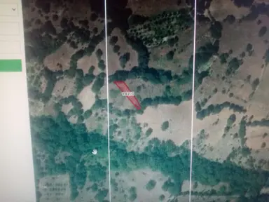 Balıkesir Dursunbey Şabanlar Mah.demirdağ Emlaktan Satılık Tarla.