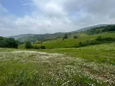 Kocaeli Karamürsel Fulacık %5 İmarlı 7470 M2 Satılık Tarla