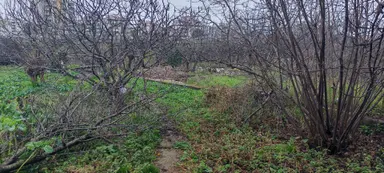 Samsun Canik. Haciismail De Vevre Yoluna Cephe Satilik 10 Kata İmar 1.40 Emsal Arsa
