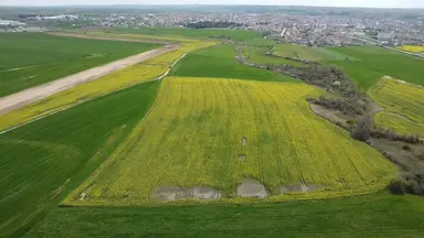 Muratlı'da Osb Ve Ulaşıma Yakın 57.6 Dönüm Tarla