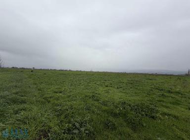 Bergama Merkeze Yakın Tarla İslamsaray Mah. Bergama Merkeze Yakın Tarla İslamsaray Mah.