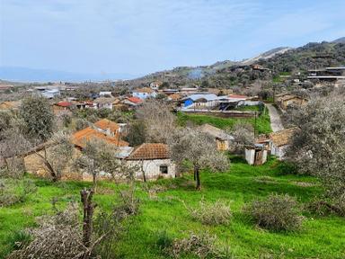 Aydın Dalama Mahallesin'de Satılık 1620 M2 Bahçe Evi