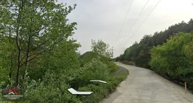Güney Marmara Otobanına Yakın 30.772 M² Tarım Arazisi | Senaiye