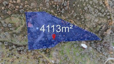 Kemalpaşa Bağyurdu Satılık 4.113 M² Tek Tapu Evi Olan Zeytinlik