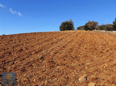 Nysa Emlak'tan Satılık 4.888 M2 Satılık Şahsi Tapu Arazi