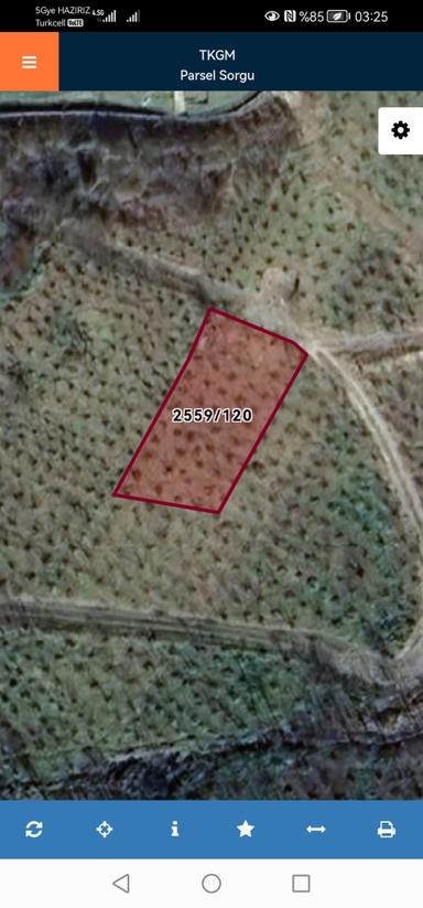 Trabzon Uğurlu Satılık Villalık Arsa Trabzon Uğurlu Satılık Villalık Arsa