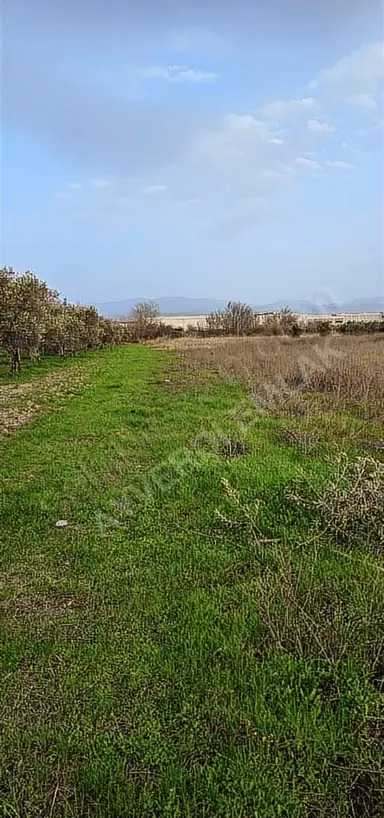 Osb Yanı Yatırımlık Hesaplı Arazi